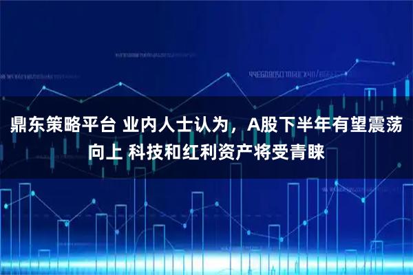 鼎东策略平台 业内人士认为，A股下半年有望震荡向上 科技和红利资产将受青睐
