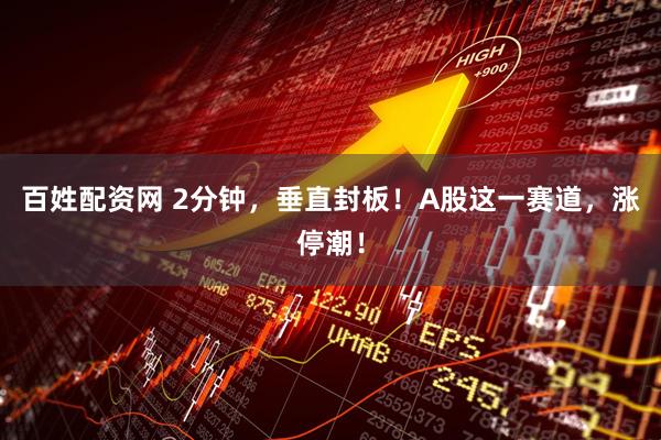 百姓配资网 2分钟，垂直封板！A股这一赛道，涨停潮！