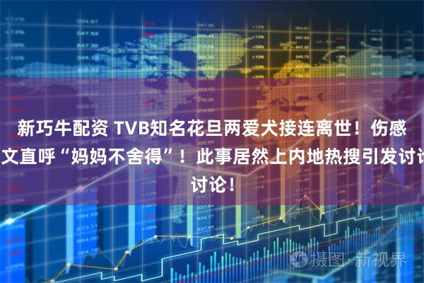 新巧牛配资 TVB知名花旦两爱犬接连离世！伤感发文直呼“妈妈不舍得”！此事居然上内地热搜引发讨论！