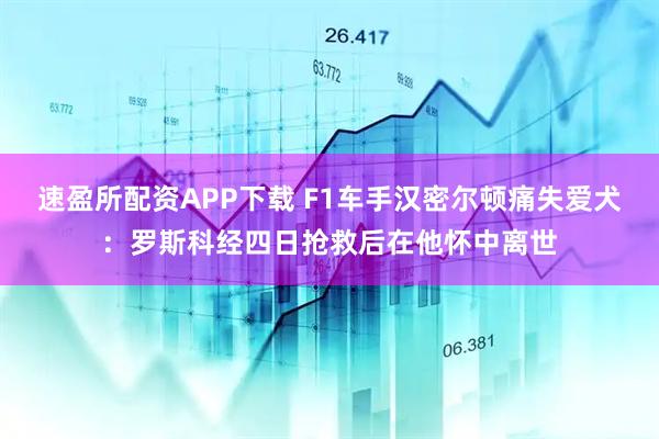 速盈所配资APP下载 F1车手汉密尔顿痛失爱犬：罗斯科经四日抢救后在他怀中离世