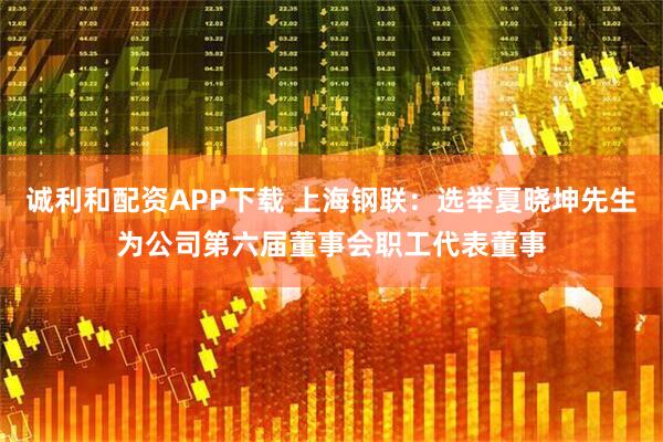 诚利和配资APP下载 上海钢联：选举夏晓坤先生为公司第六届董事会职工代表董事