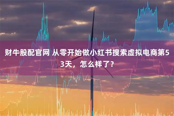 财牛股配官网 从零开始做小红书搜索虚拟电商第53天，怎么样了？